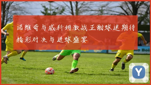 诺维奇与威科姆激战正酣球迷期待精彩对决与进球盛宴