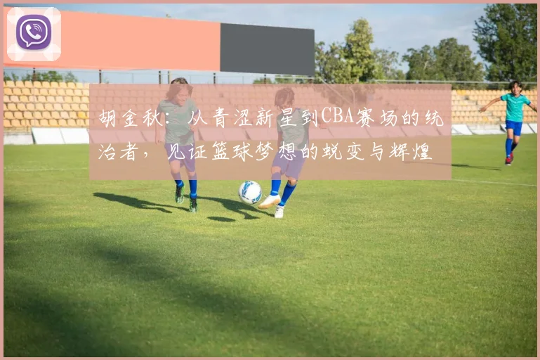 胡金秋：从青涩新星到CBA赛场的统治者，见证篮球梦想的蜕变与辉煌