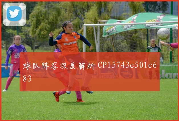 球队阵容深度解析 CP15743c501c683