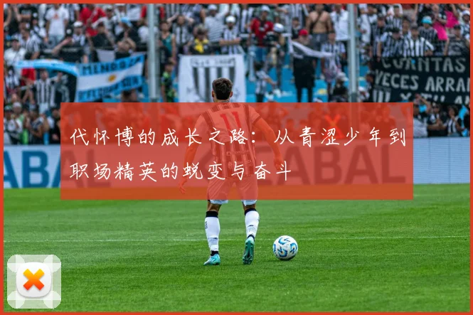 代怀博的成长之路：从青涩少年到职场精英的蜕变与奋斗