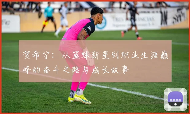 贺希宁：从篮球新星到职业生涯巅峰的奋斗之路与成长故事