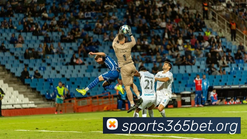 bet365体育APP 封面图